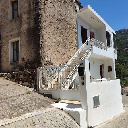 Sa Dommu 'E Su Coro Villa Triei Luaran gambar
