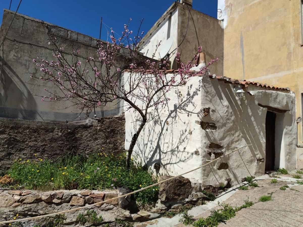 Sa Dommu 'E Su Coro Villa Triei Luaran gambar