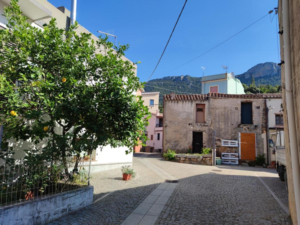 Sa Dommu 'E Su Coro Villa Triei Luaran gambar